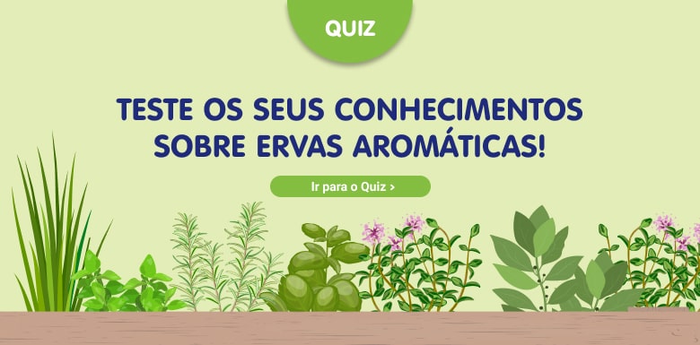 banner-quiz-ervas-aromaticas (1)